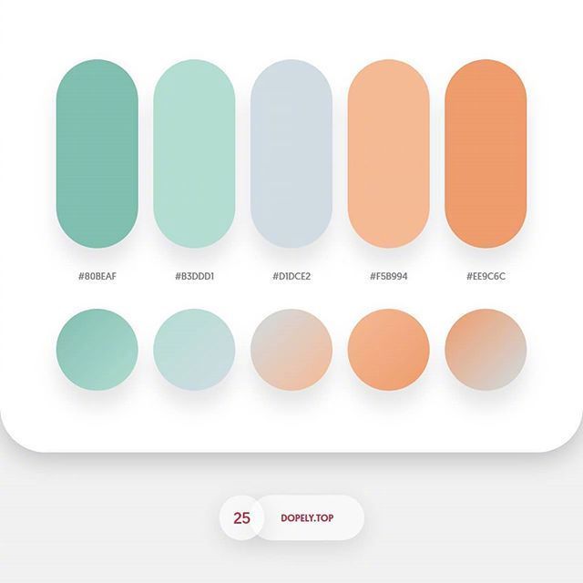 色彩集0202610202温柔清爽的配色方案insmrpugo