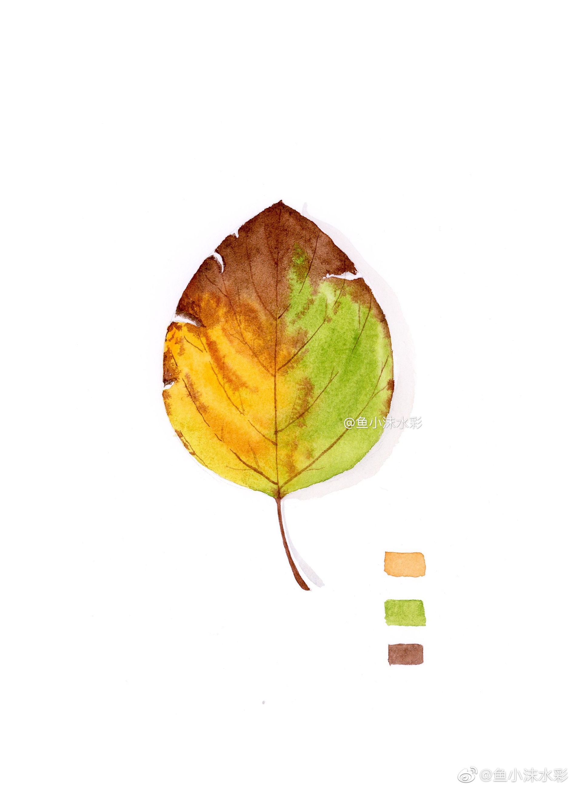 水彩画一画绚丽的树叶,你会喜欢吗