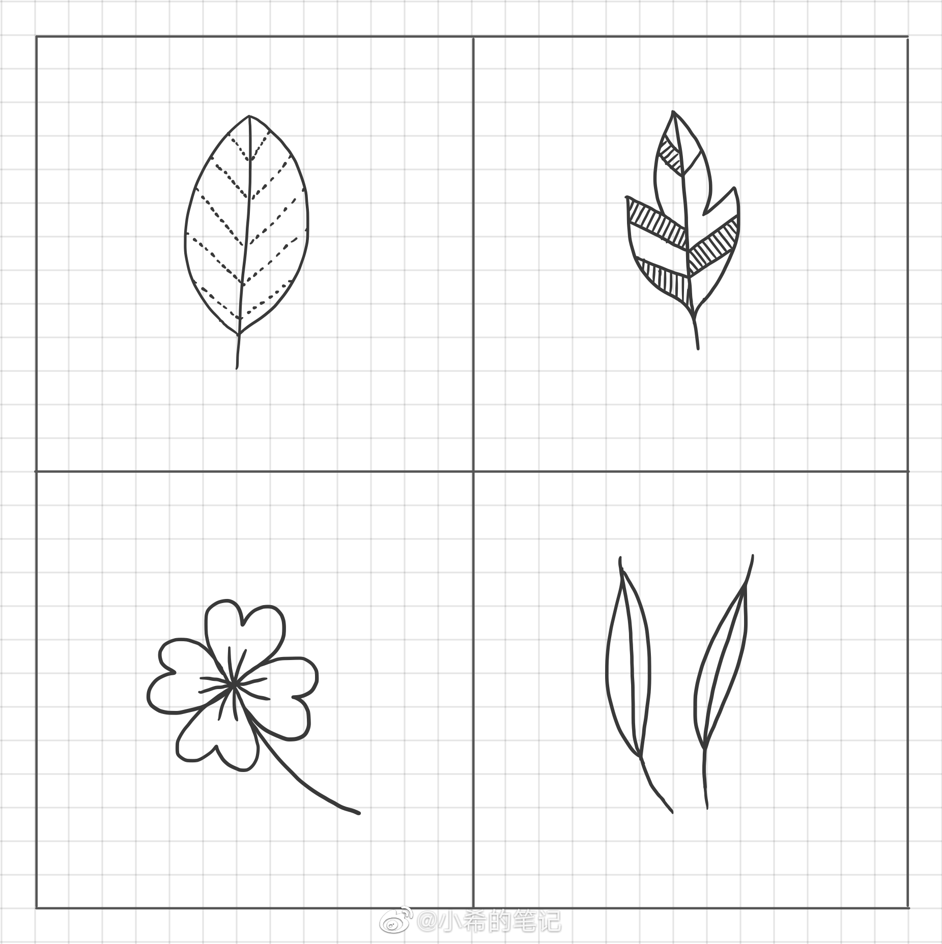 简笔画枝叶画法大全