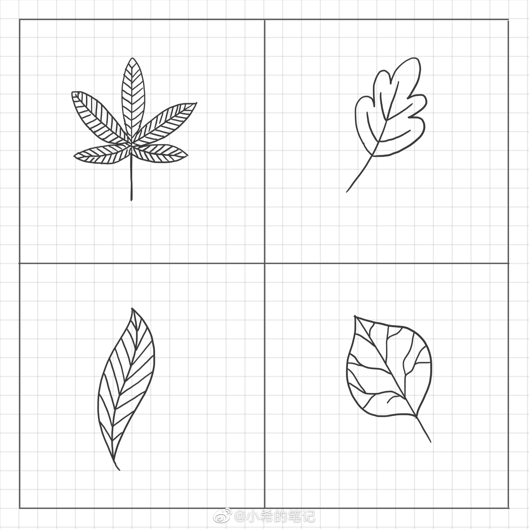 简笔画枝叶画法大全