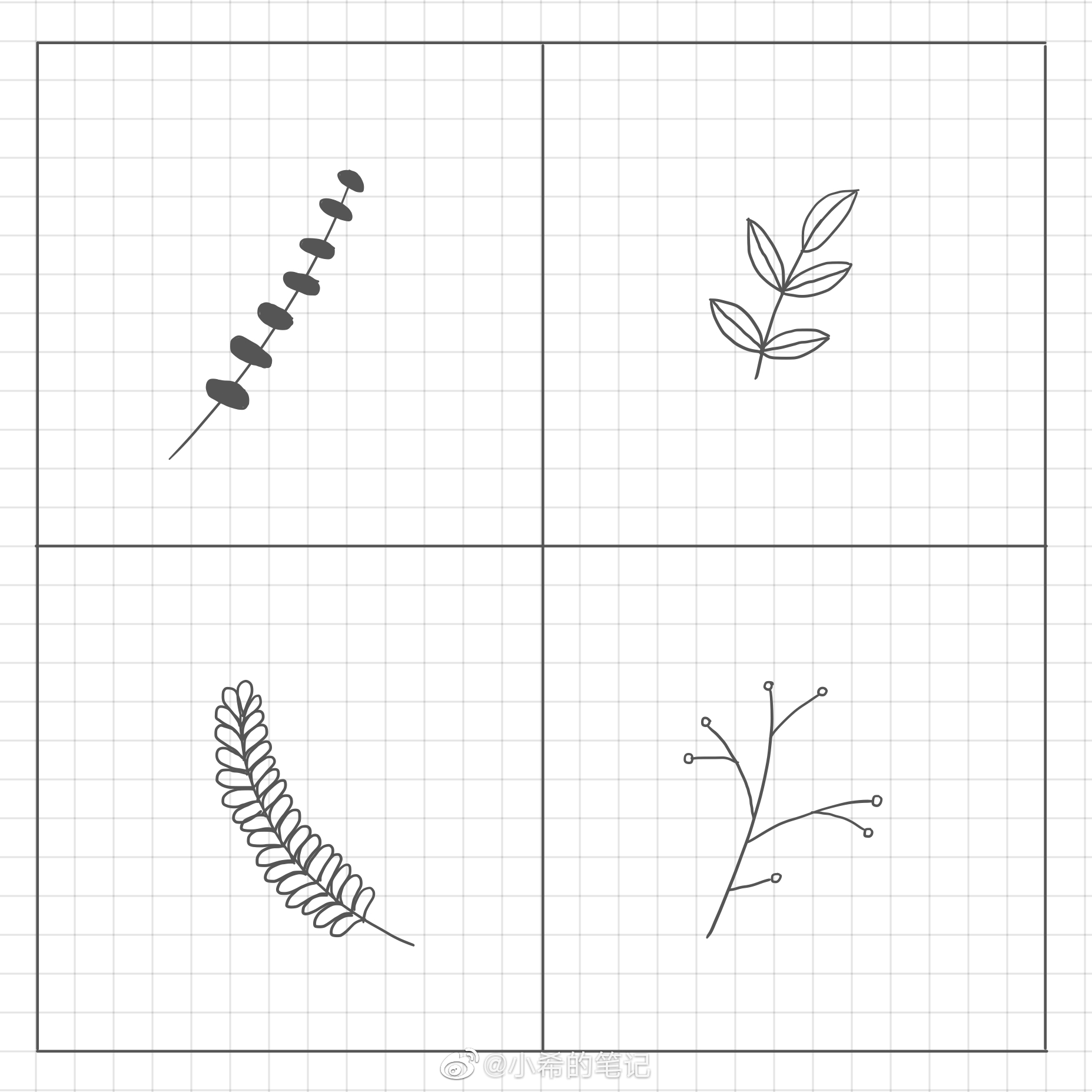 简笔画枝叶画法大全