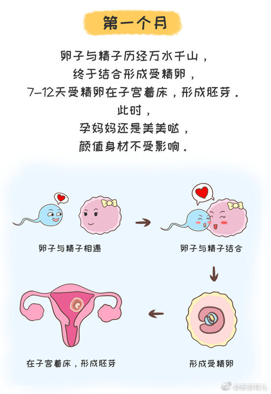 十张图告诉你 女人十月怀胎有多不容易|十月怀胎|仪式|致敬_新浪新闻