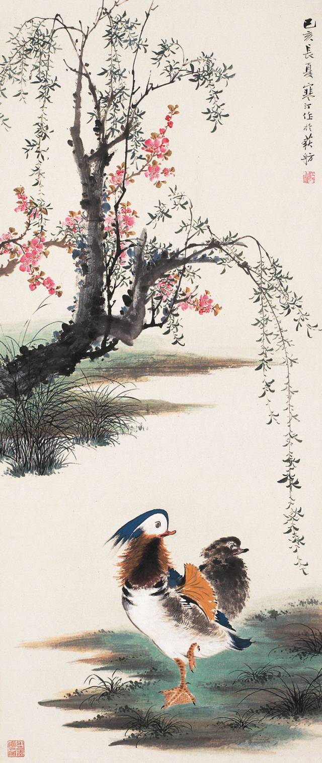 养眼舒心的江寒汀花鸟画