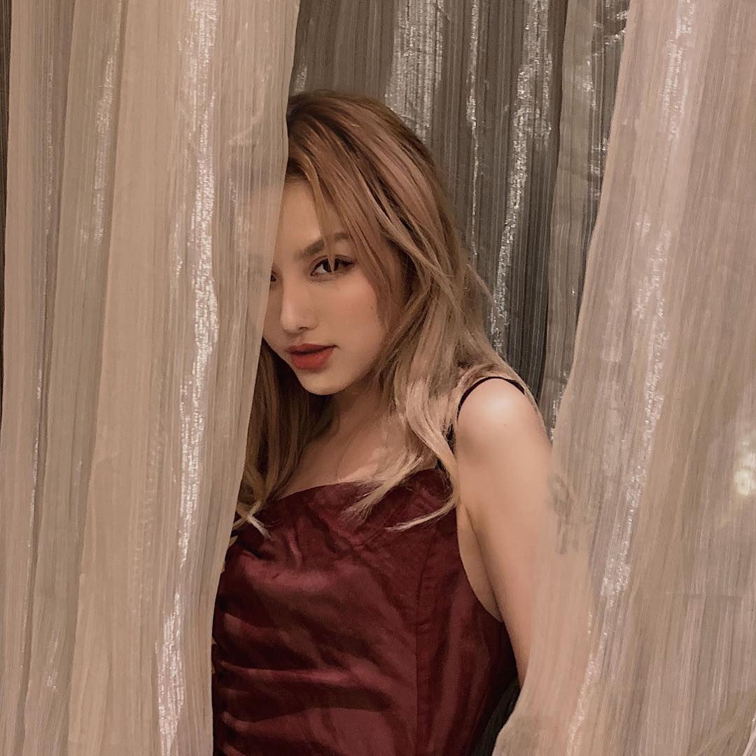 让王思聪买羊驼的网红被扒:5年变身白富美,人当女友,她做保姆