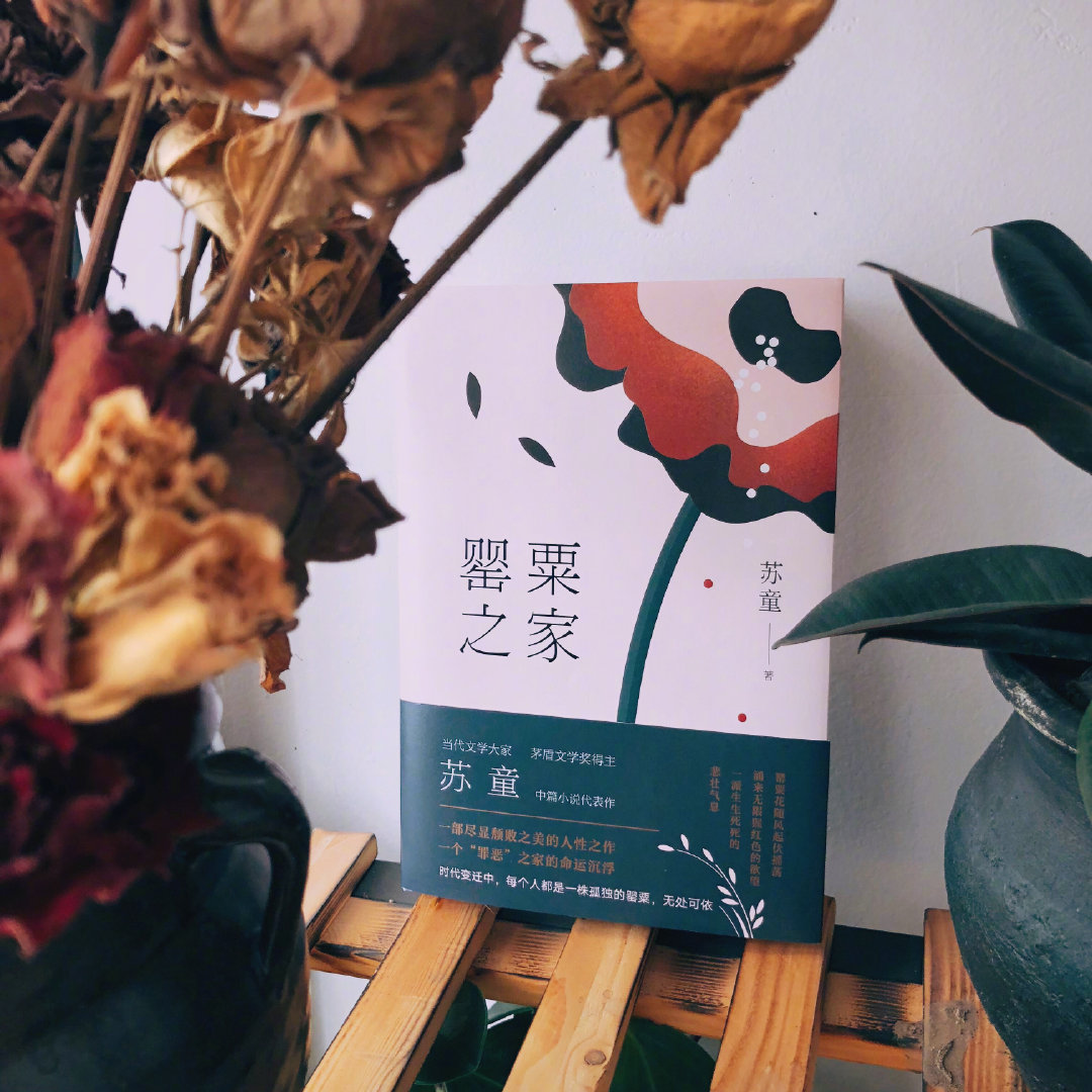 当代文学大家,茅盾文学奖得主苏童中篇代表作《罂粟之家》京东重磅上