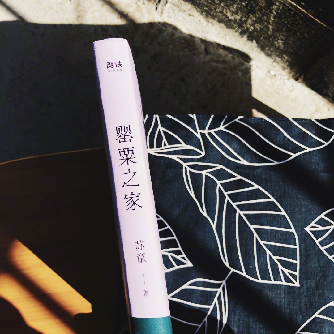 当代文学大家,茅盾文学奖得主苏童中篇代表作《罂粟之家》京东重磅上