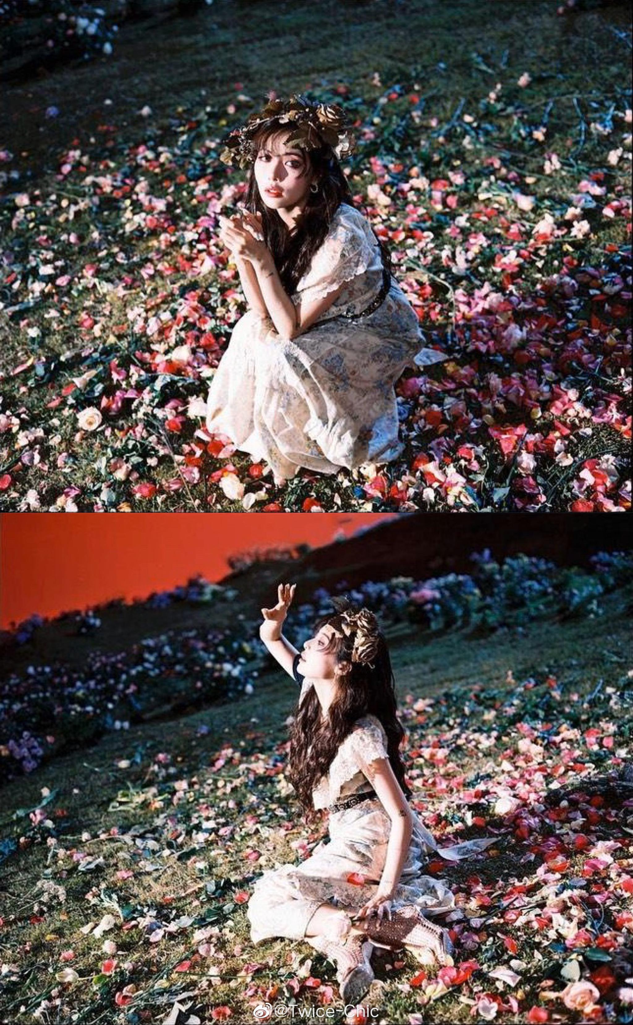 flower shower_高清图集_新浪网