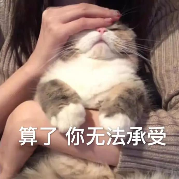 表情包:好困,可以不去上班吗?|上班|表情包_新浪新闻