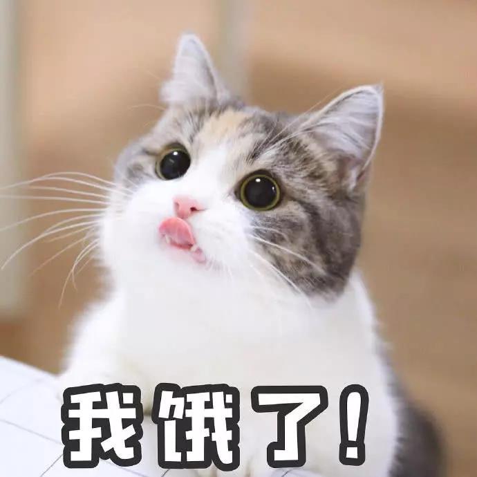 表情包:我饿了,我要吃好吃的