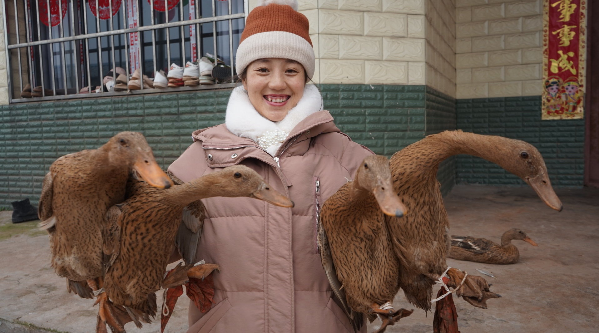 小妹准备杀五只鸭子做板鸭,这上山跑的鸭子就是野