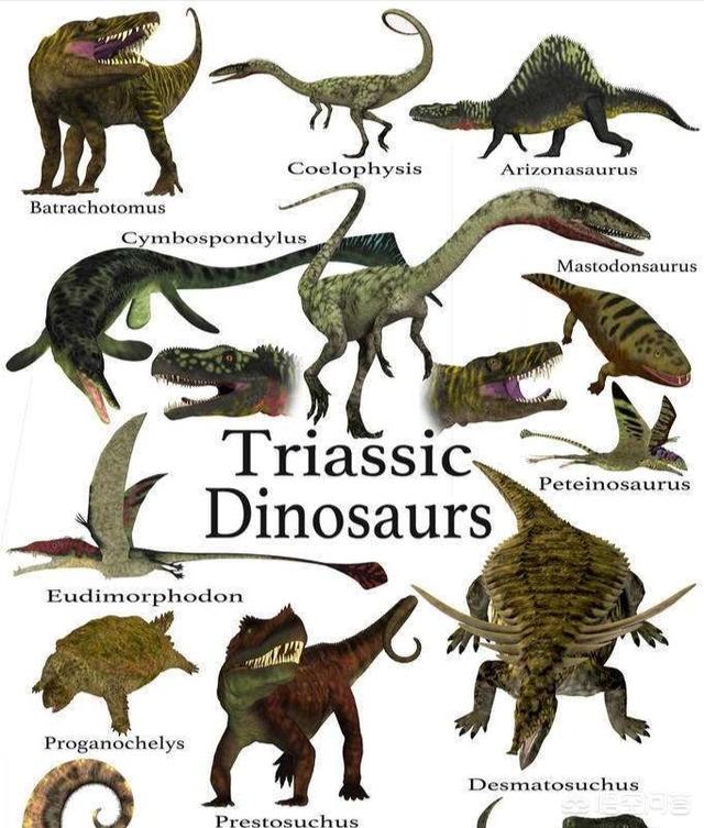 比如考古生物学家发现有一种叫做伤齿龙的恐龙,比人的身高略矮,身体