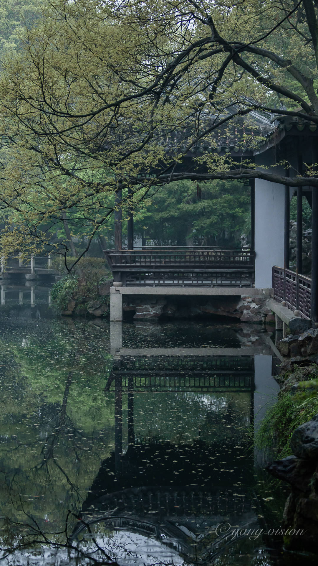 小桥流水亭台阁榭,仿佛隔绝了外部的一切喧嚣格外的幽静雅致