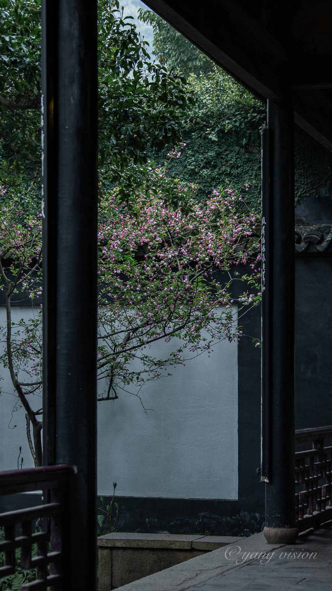 小桥流水亭台阁榭,仿佛隔绝了外部的一切喧嚣格外的幽静雅致