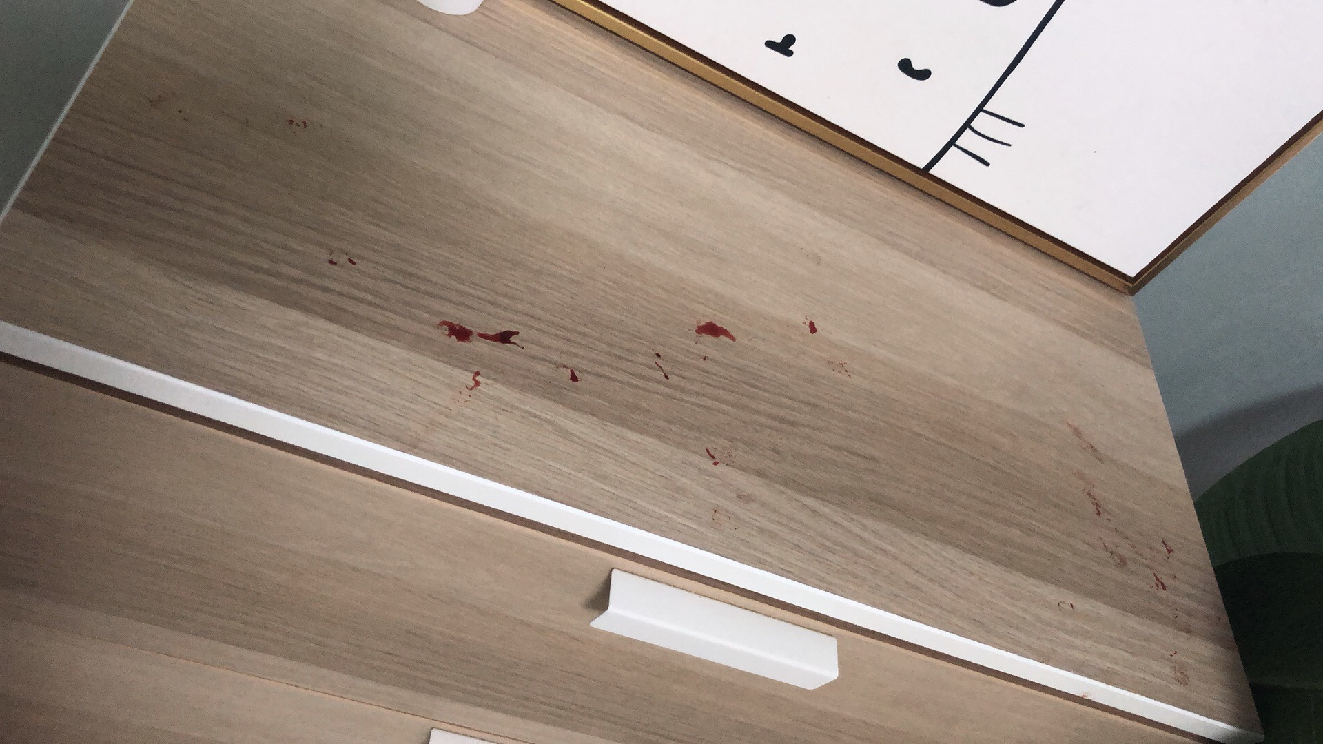 这两天家里地面突然出现血迹,一开始以为是奶茶又打架了