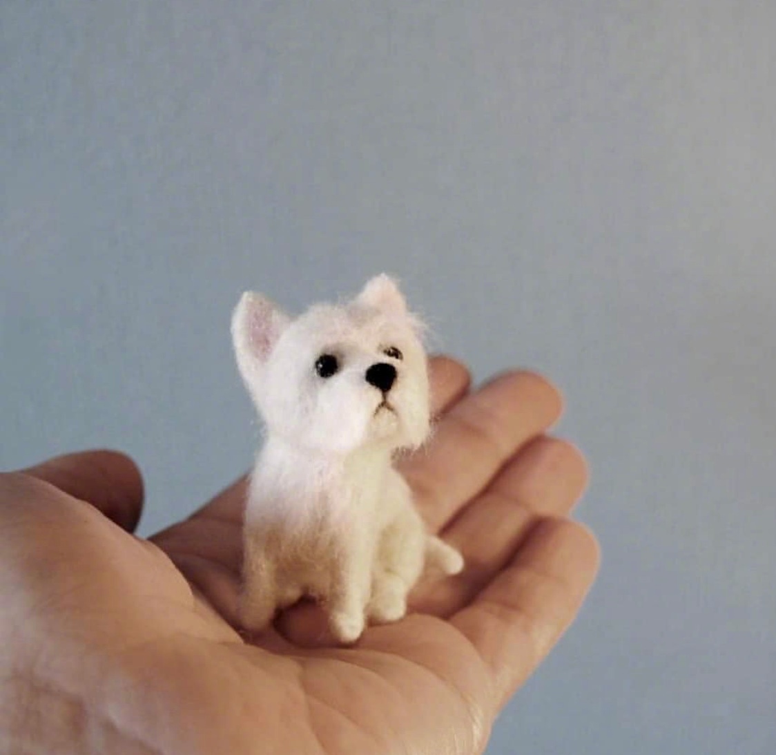 可可爱爱的手工羊毛毡小动物 ins:eve.willane