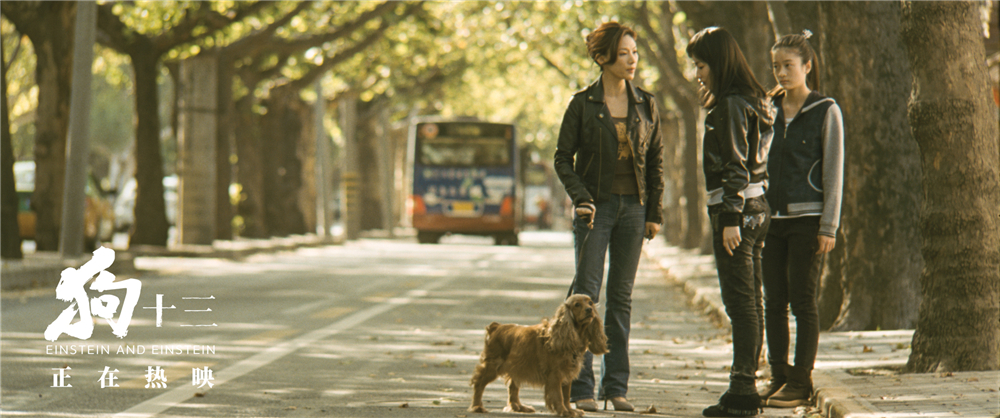 《狗十三》的票房太惨?电影已回本,曹保平目的不是赚钱