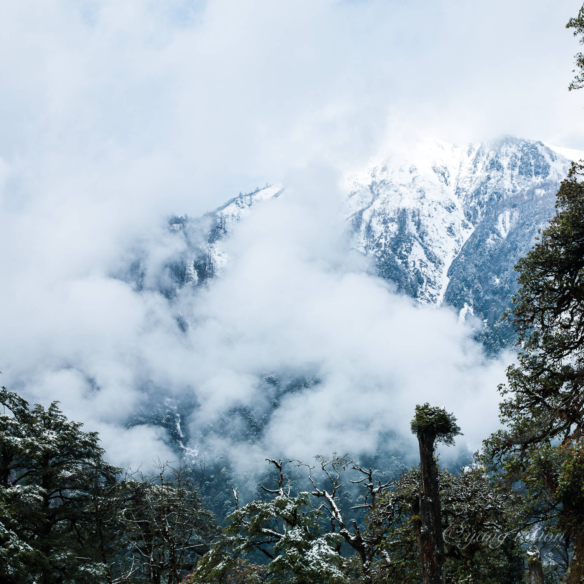 云南腾冲高黎贡山秘境位于青藏高原南部壮观的垂直自然景观
