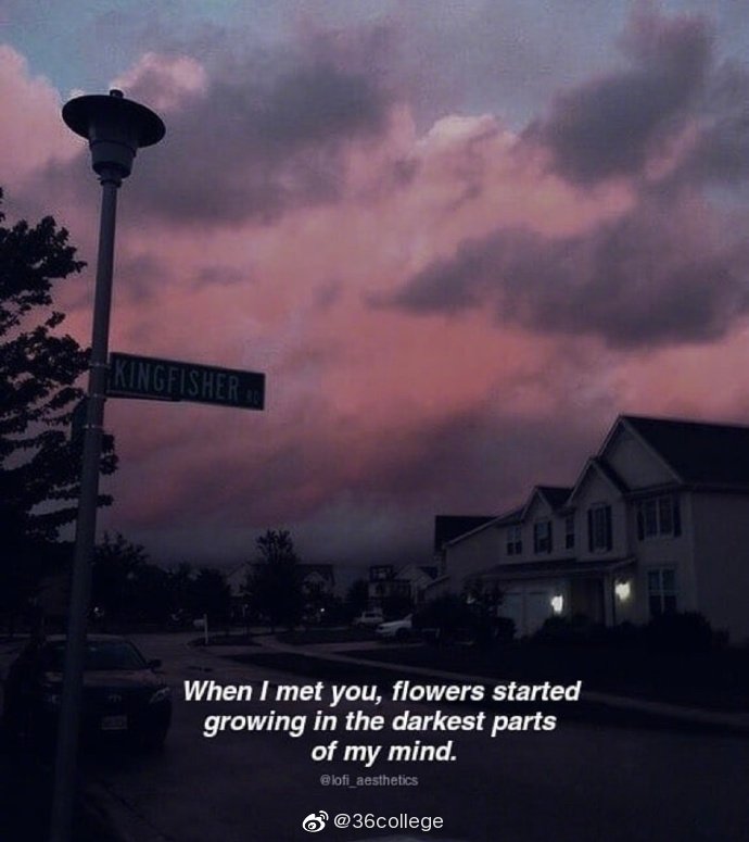 I Wish Some Days Lasted Forever ins lofi aesthetics