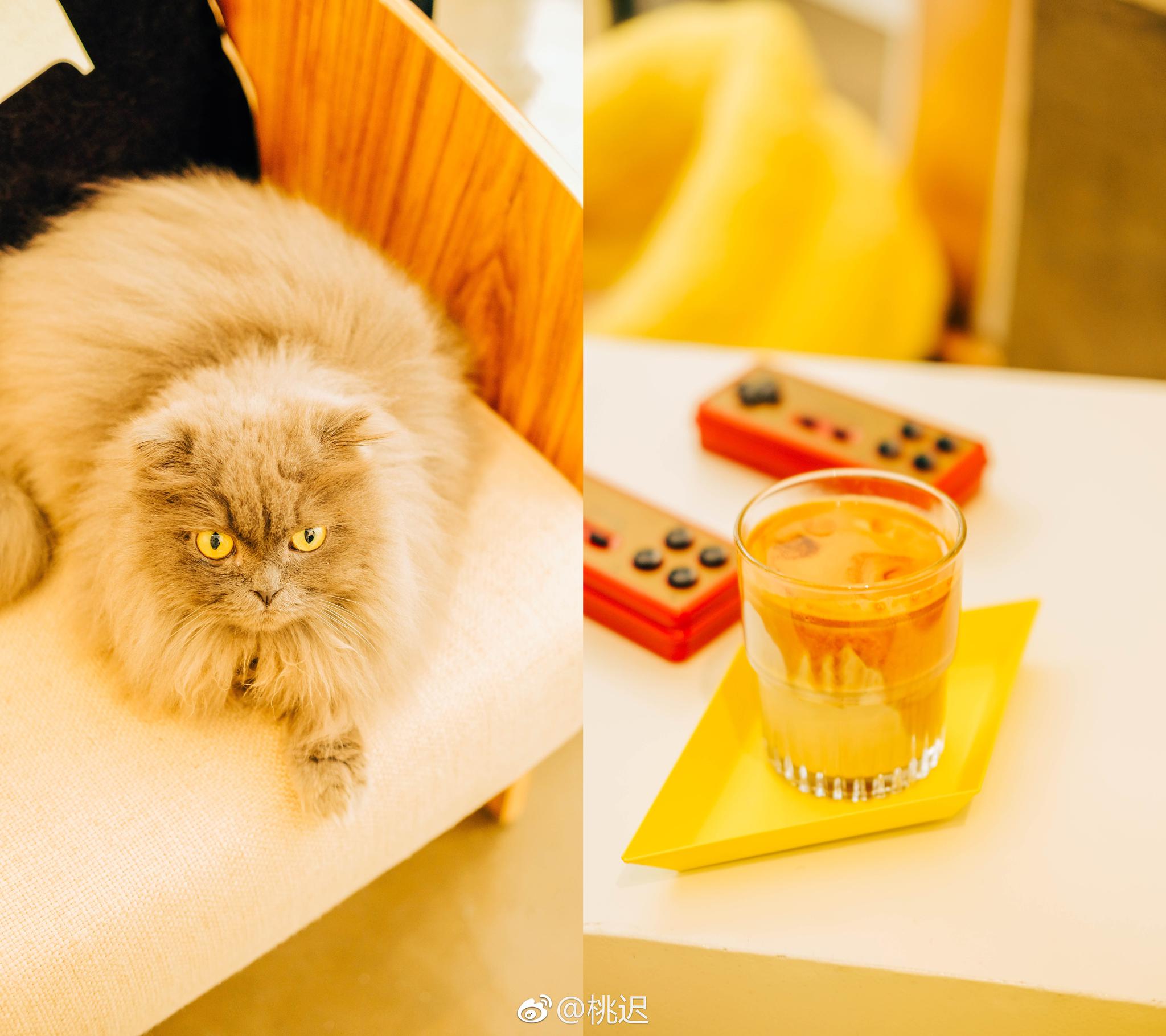 "可爱的事物,要得到可爱的对待."| fun