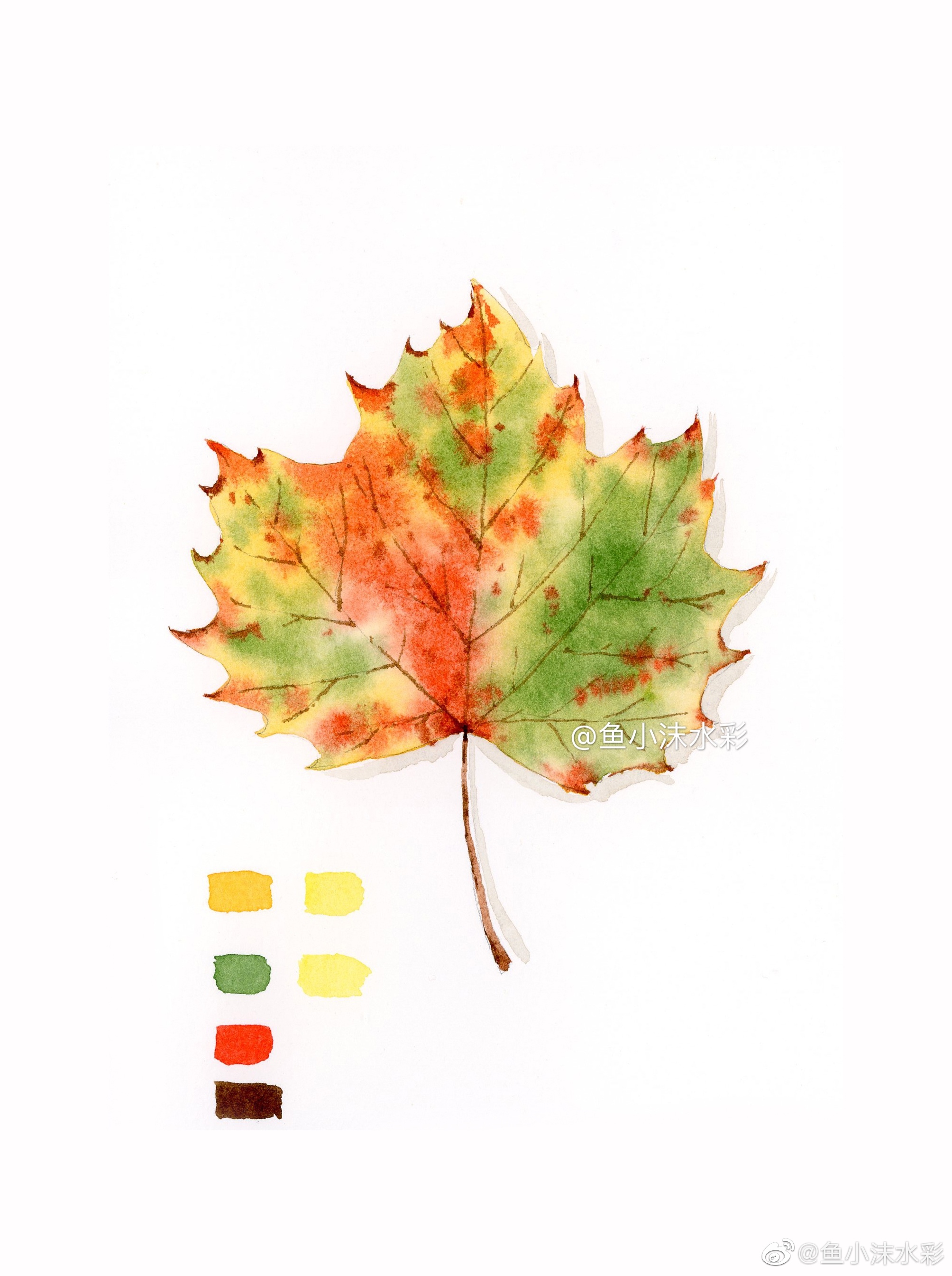 水彩画一画绚丽的树叶,你会喜欢吗