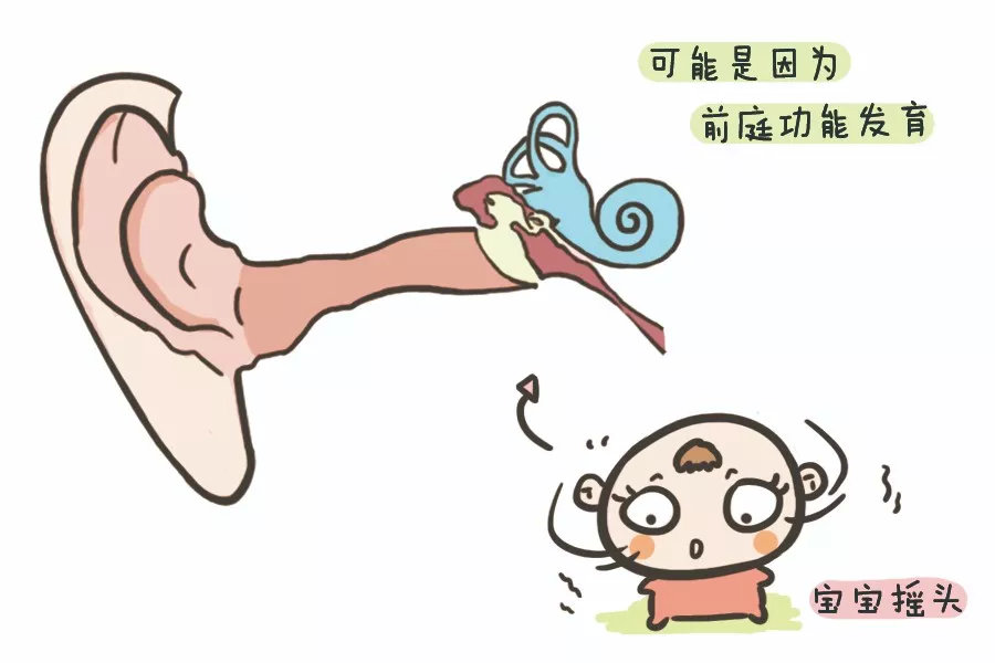 经常摇头是在锻炼前庭功能?前庭的重要性,家长不可不知!|前庭|宝宝|家长_新浪新闻