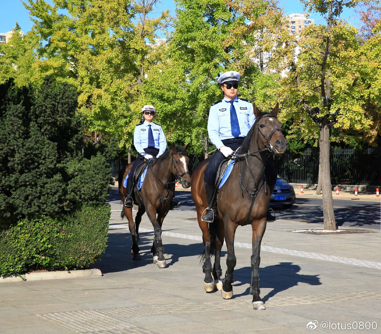 大连骑警风采_高清图集_新浪网