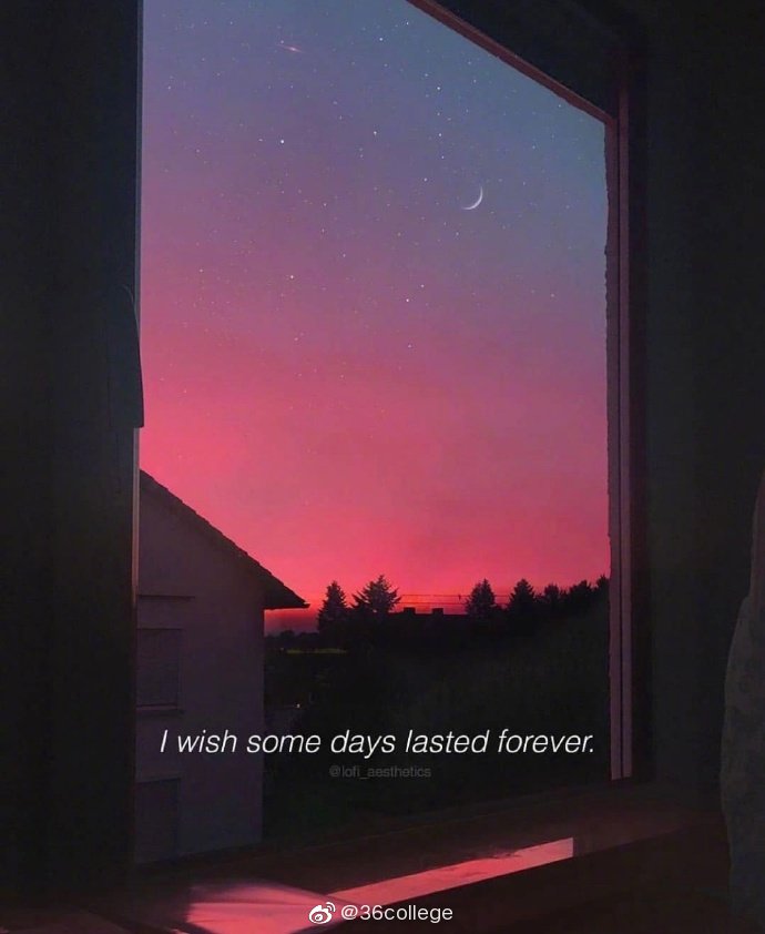 I Wish Some Days Lasted Forever ins lofi aesthetics