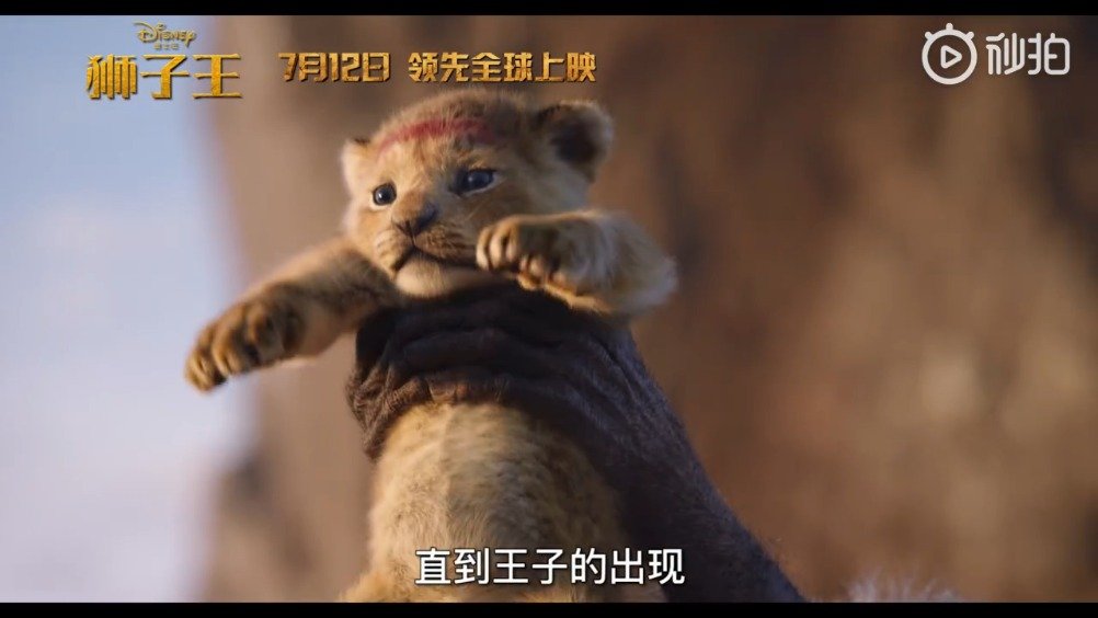 全新故事预告,辛巴小狮子被吓到的样子也好萌好可爱