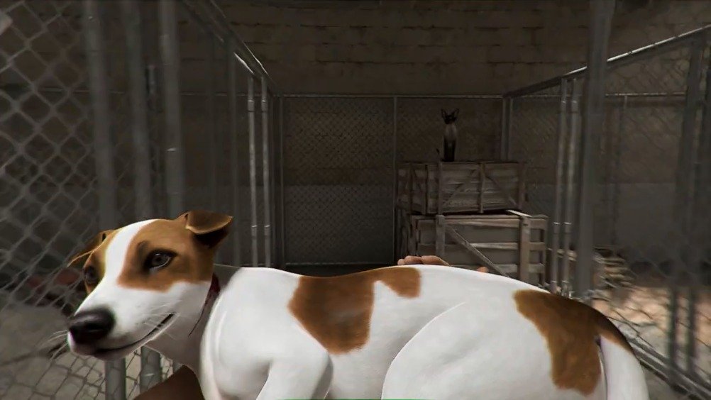 《动物收容所(animal shelter)》上架steam商城页面