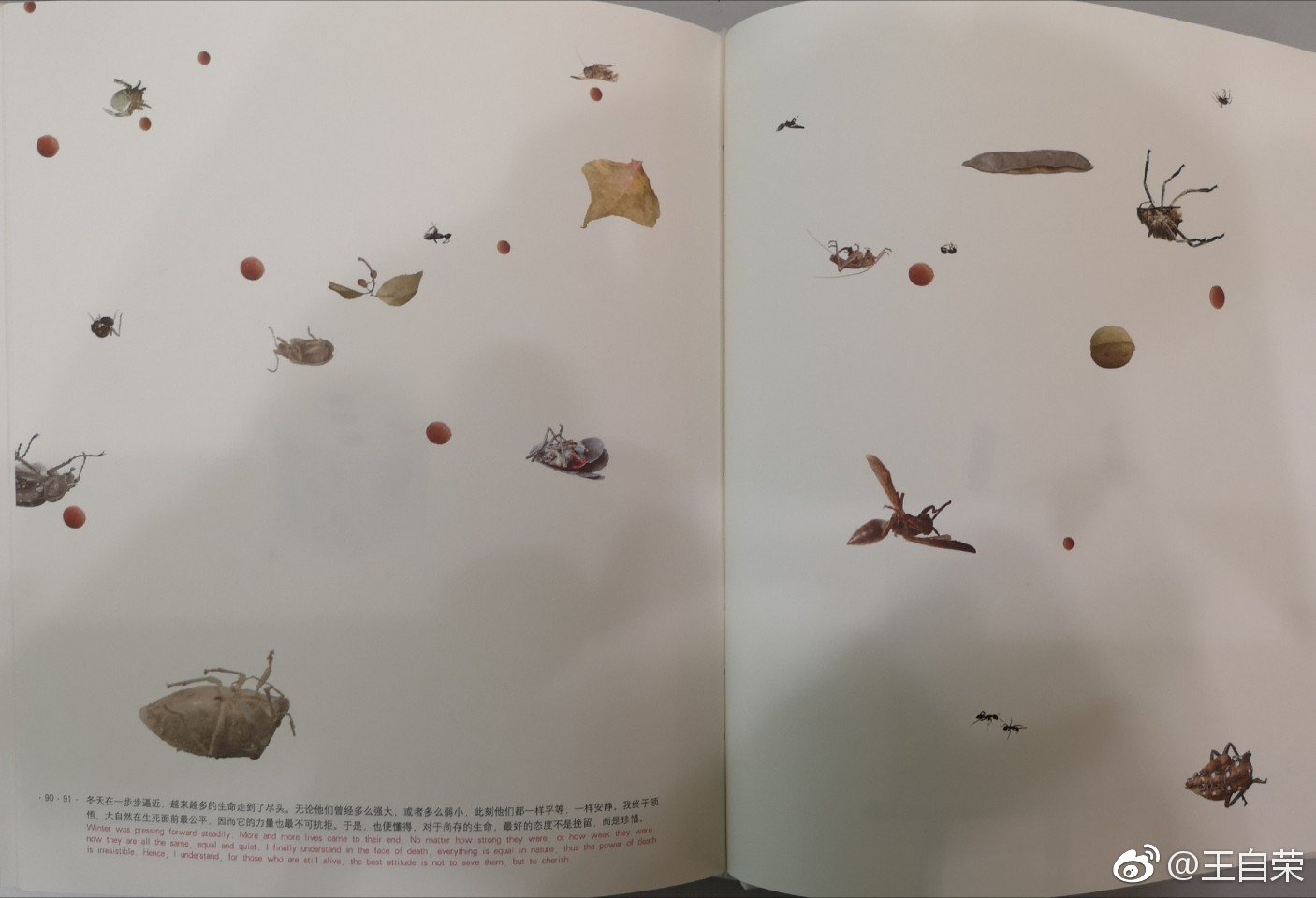 18-53读《蚁呓》.又一本朱赢椿画的绘本.读这样的书,不累