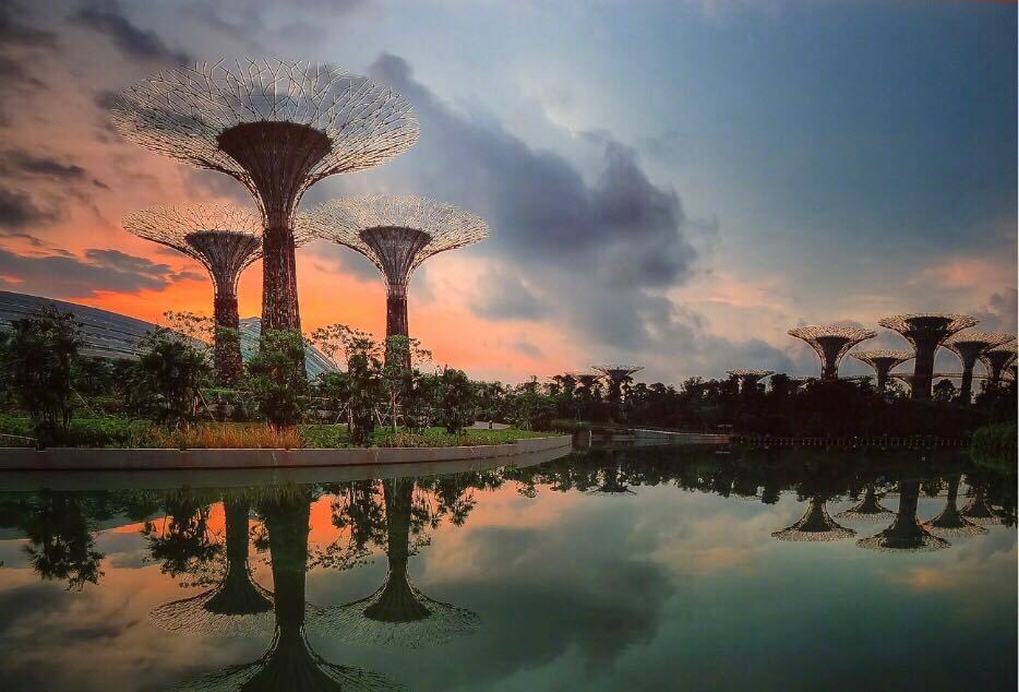 如何助力新加坡公司有效规避‘双重征税’困境？【税务规划与策略解析】