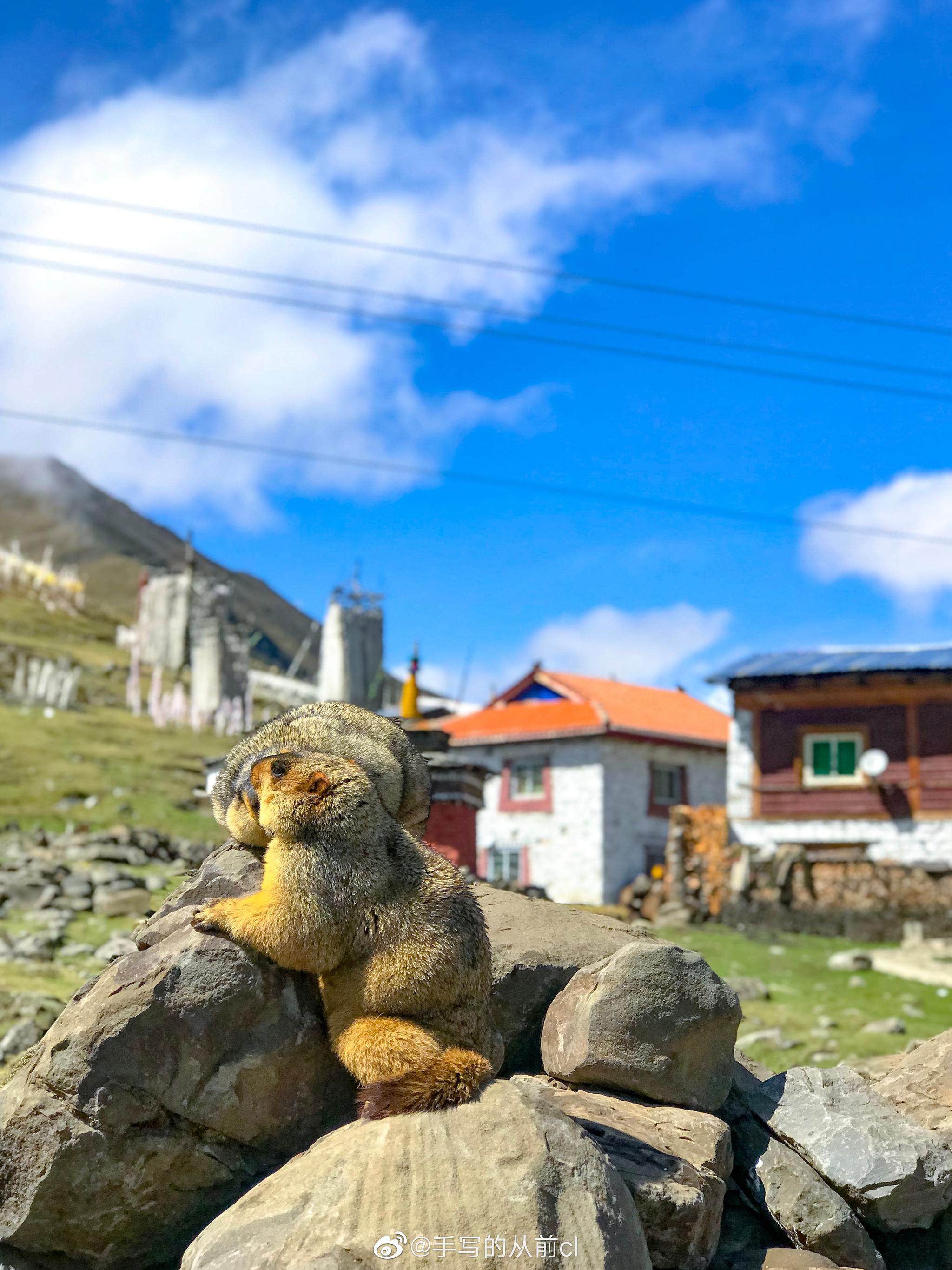 今年一定一定要去莫斯卡,传说中最后的原始藏村落