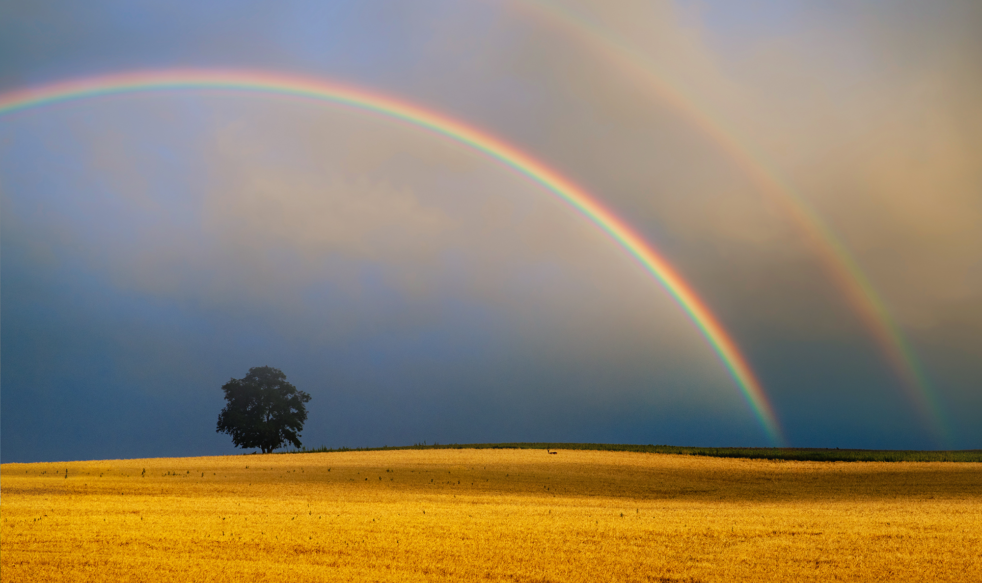 捷克南部,有这样一个神奇的地方:地势起伏,风吹麦浪,曼妙光影