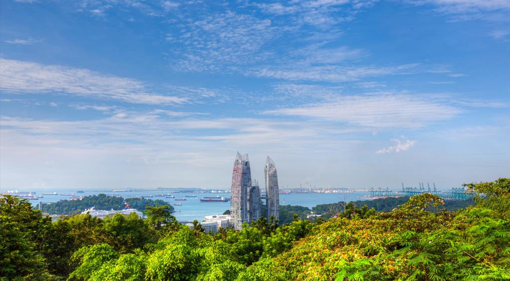 地球美之花芭山,是新加坡第二高点!