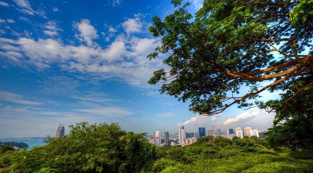 地球美之花芭山,是新加坡第二高点!