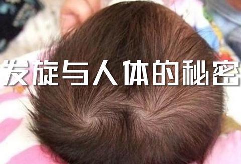 为什么人会长发旋，1 2 3个发旋分别代表什么？|长发|中心点|遗传_新浪新闻