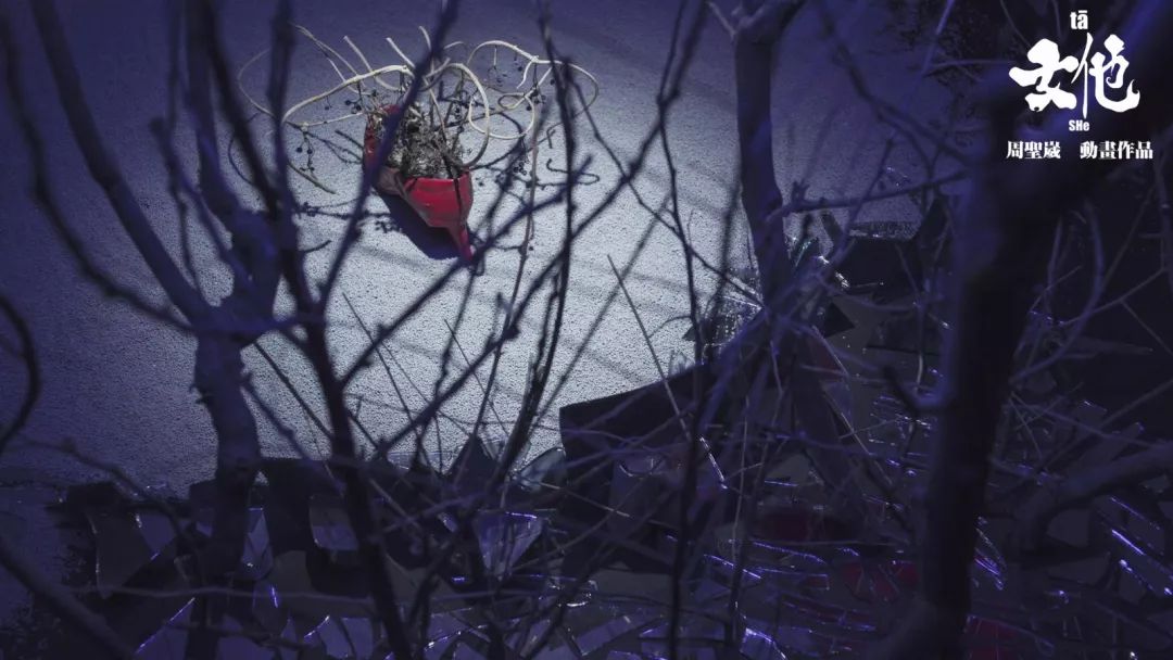 运动中也需要一种冷静的声音,时时刻刻去提醒平权运动不要偏离正轨