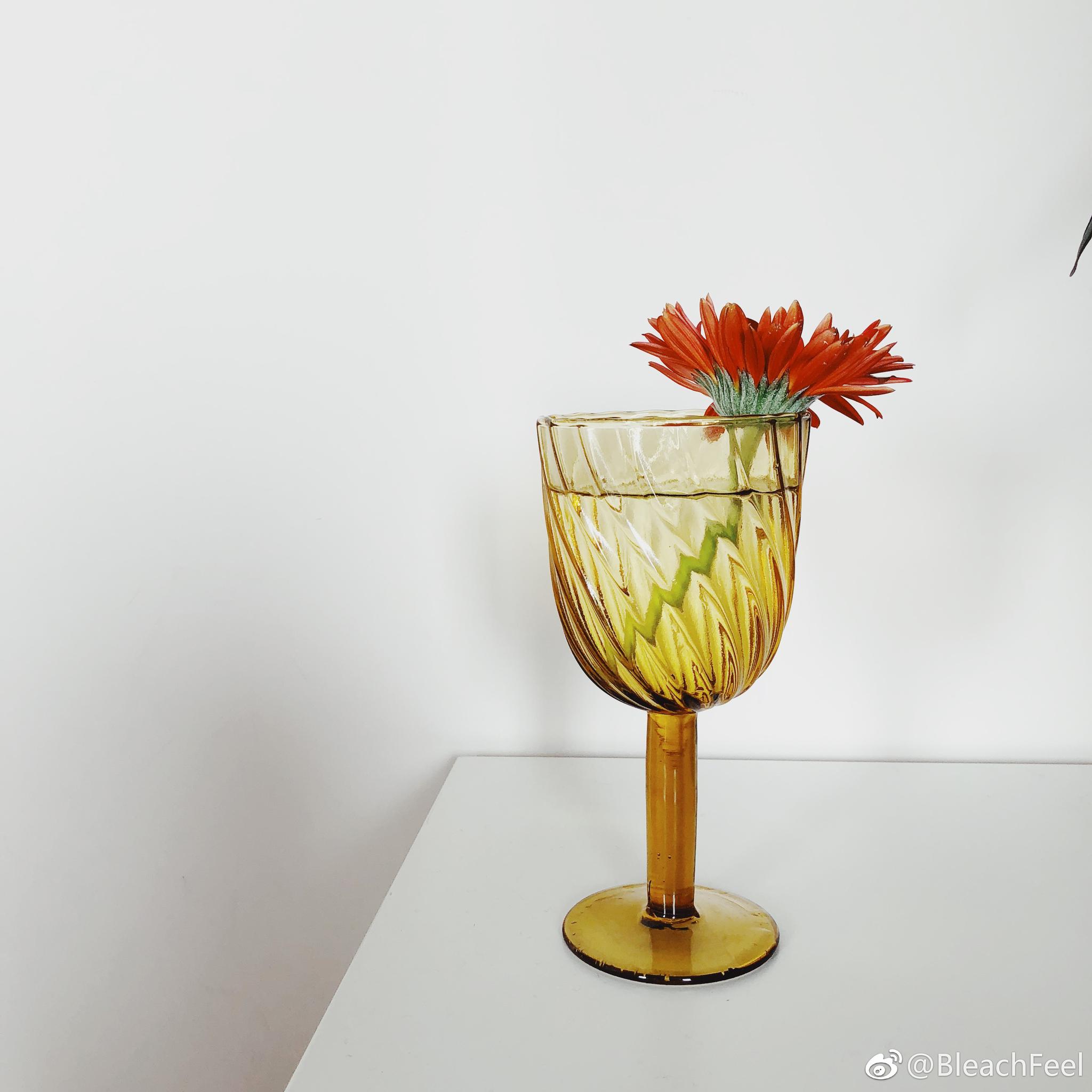 新买的杯子,不同容器插花的感觉很不一样