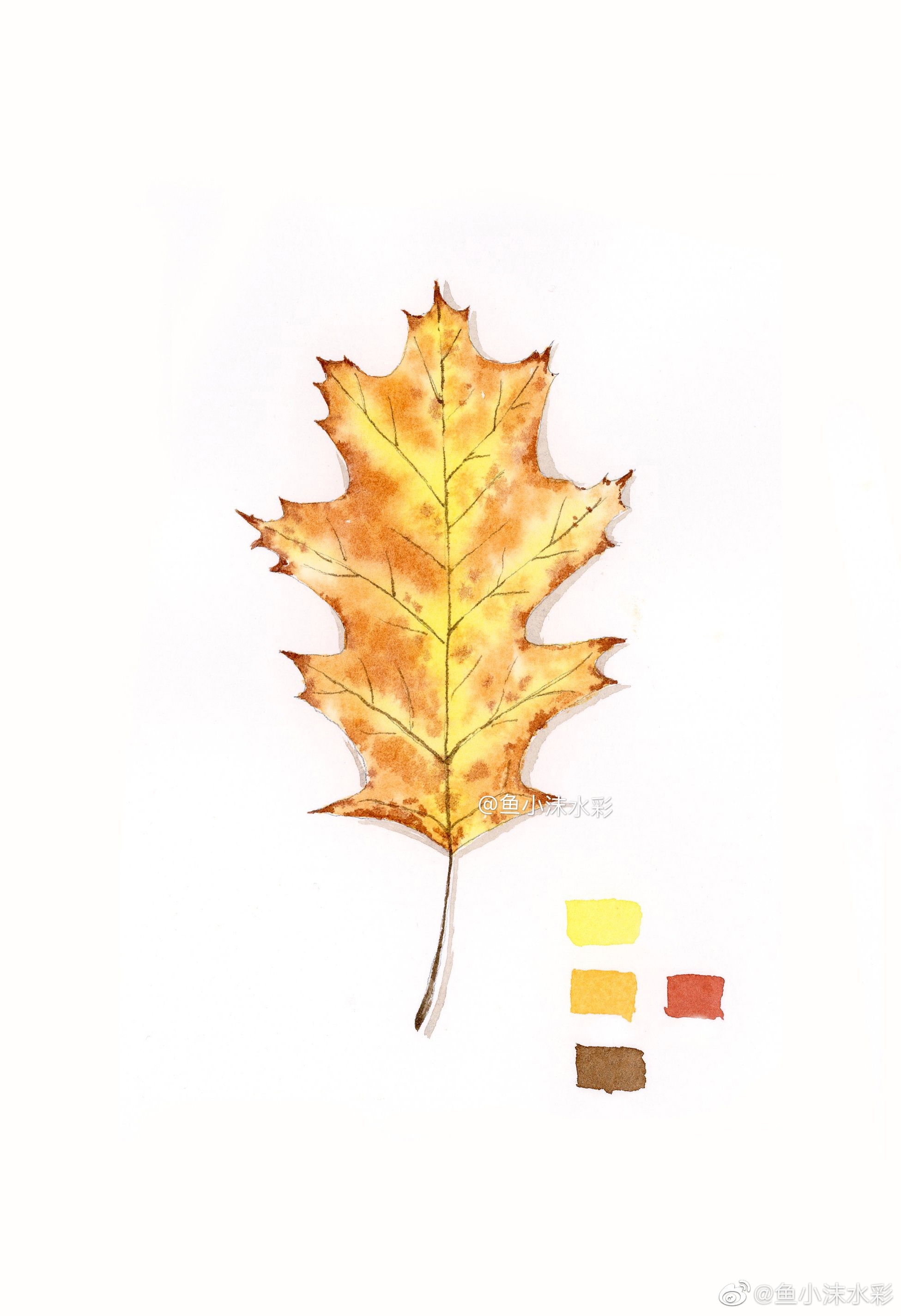 93作者:@鱼小沫水彩基础植物～绚丽的树叶|水彩|树叶|植物_新浪新闻
