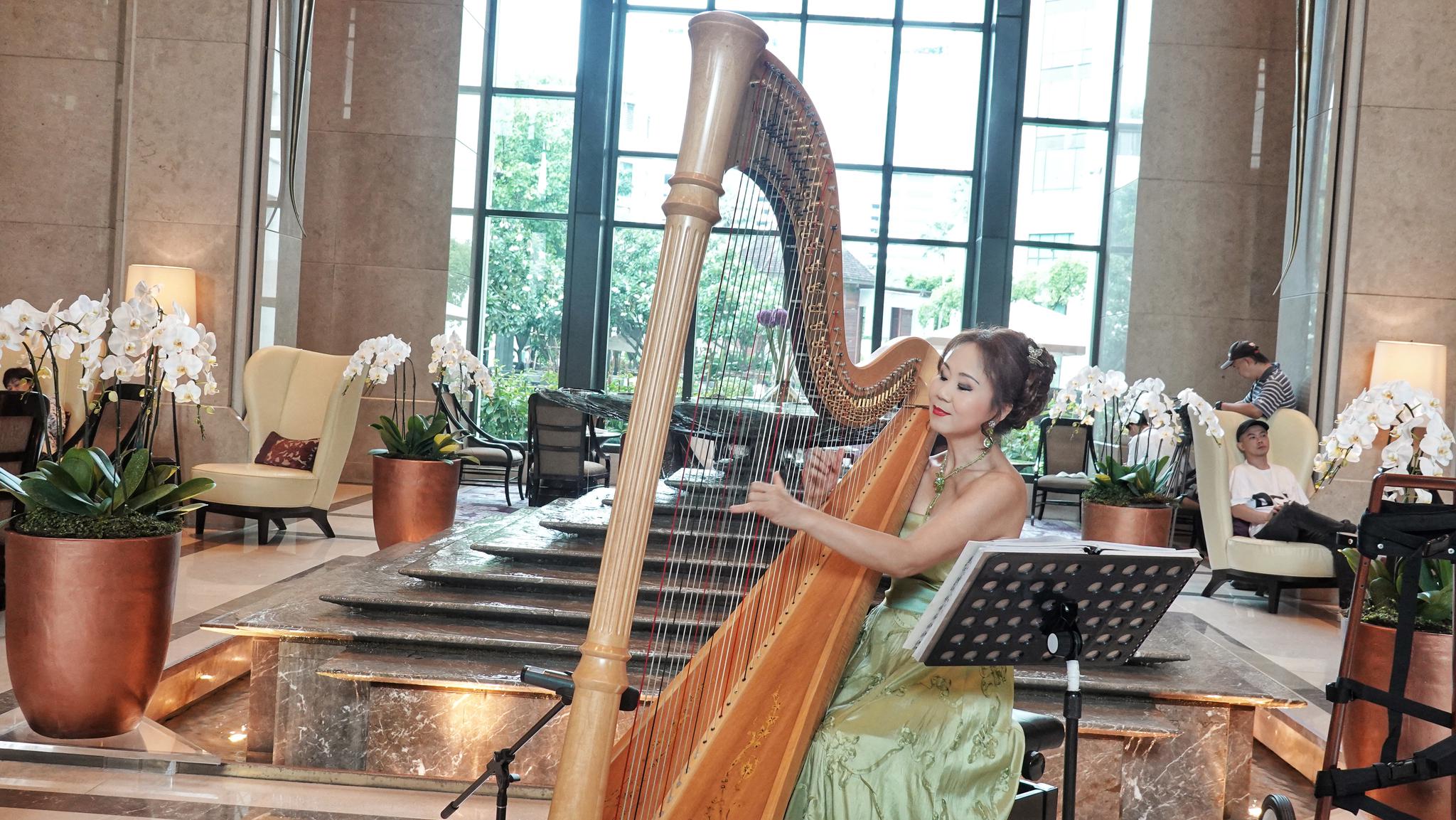 当别人在听着竖琴北京瘫时