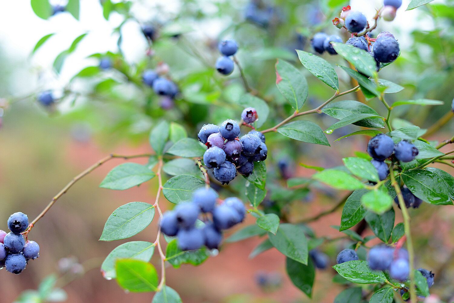 这些年走过许多地方,也拍摄了很多照片
