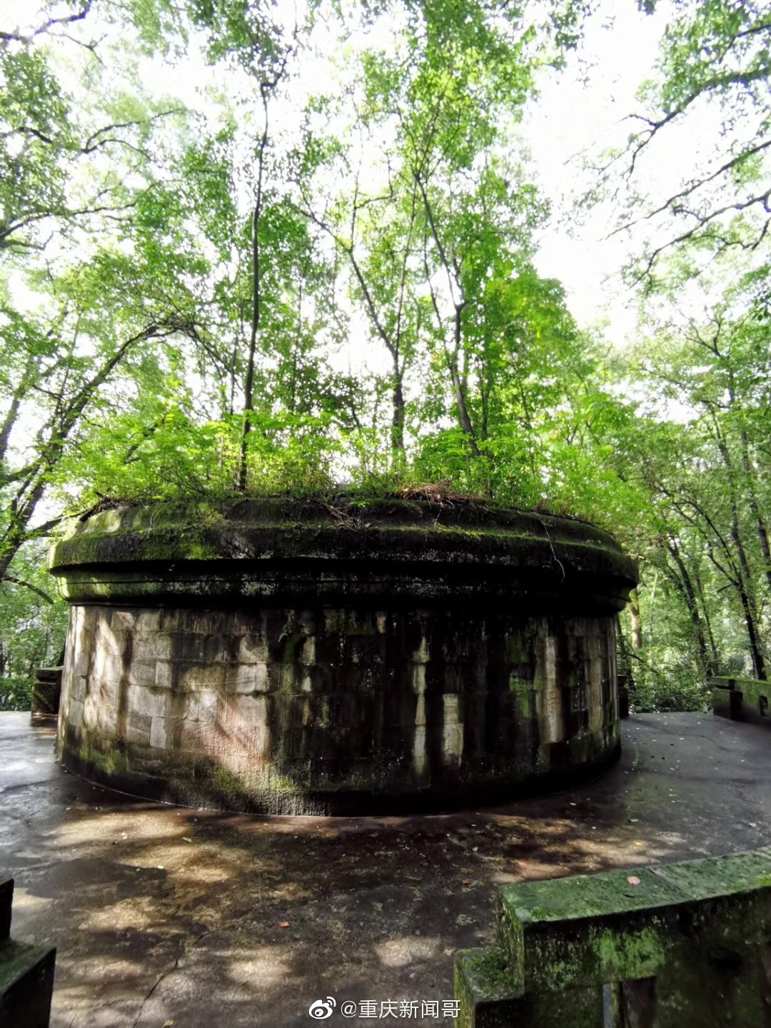 林园内的林森墓