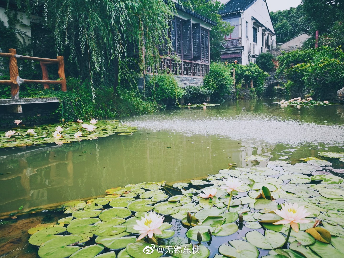 无锡阳山脚下的桃源山庄,不光菜品好,风景更美.