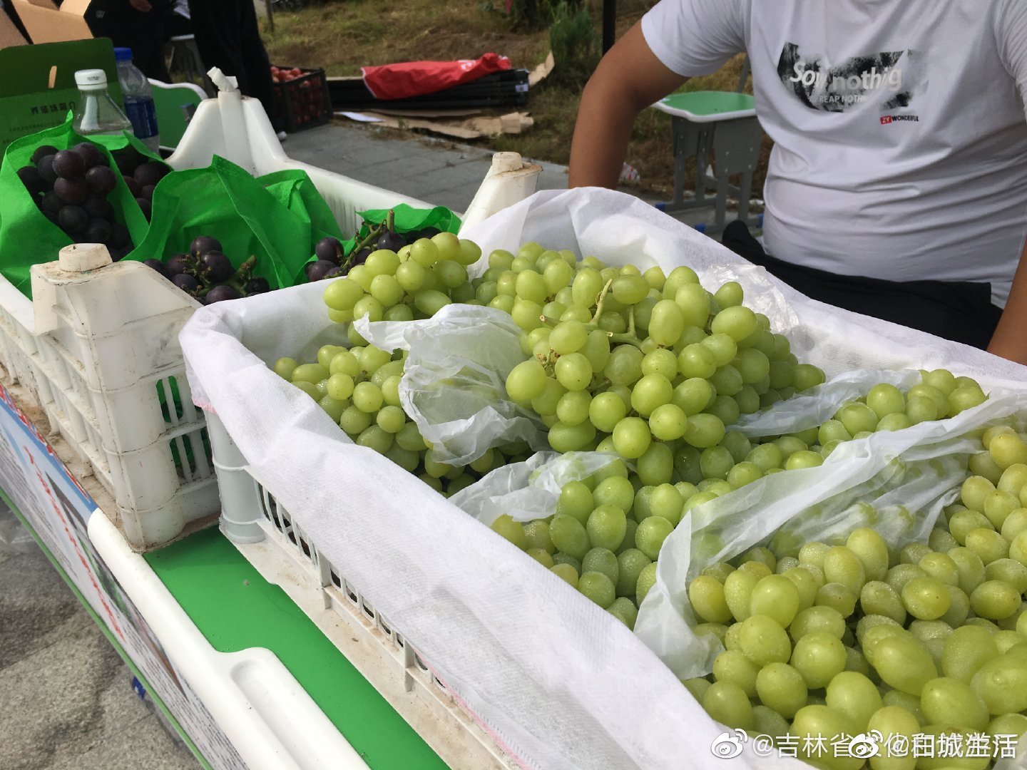 大安历史文化底蕴深厚,丰富的历史文化和现代