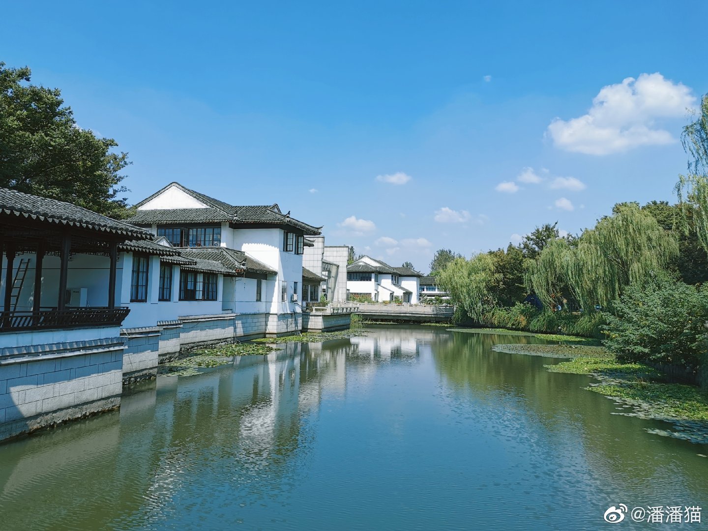 今年苏州阳澄湖大闸蟹开捕节选在常熟市沙家浜风景区举行