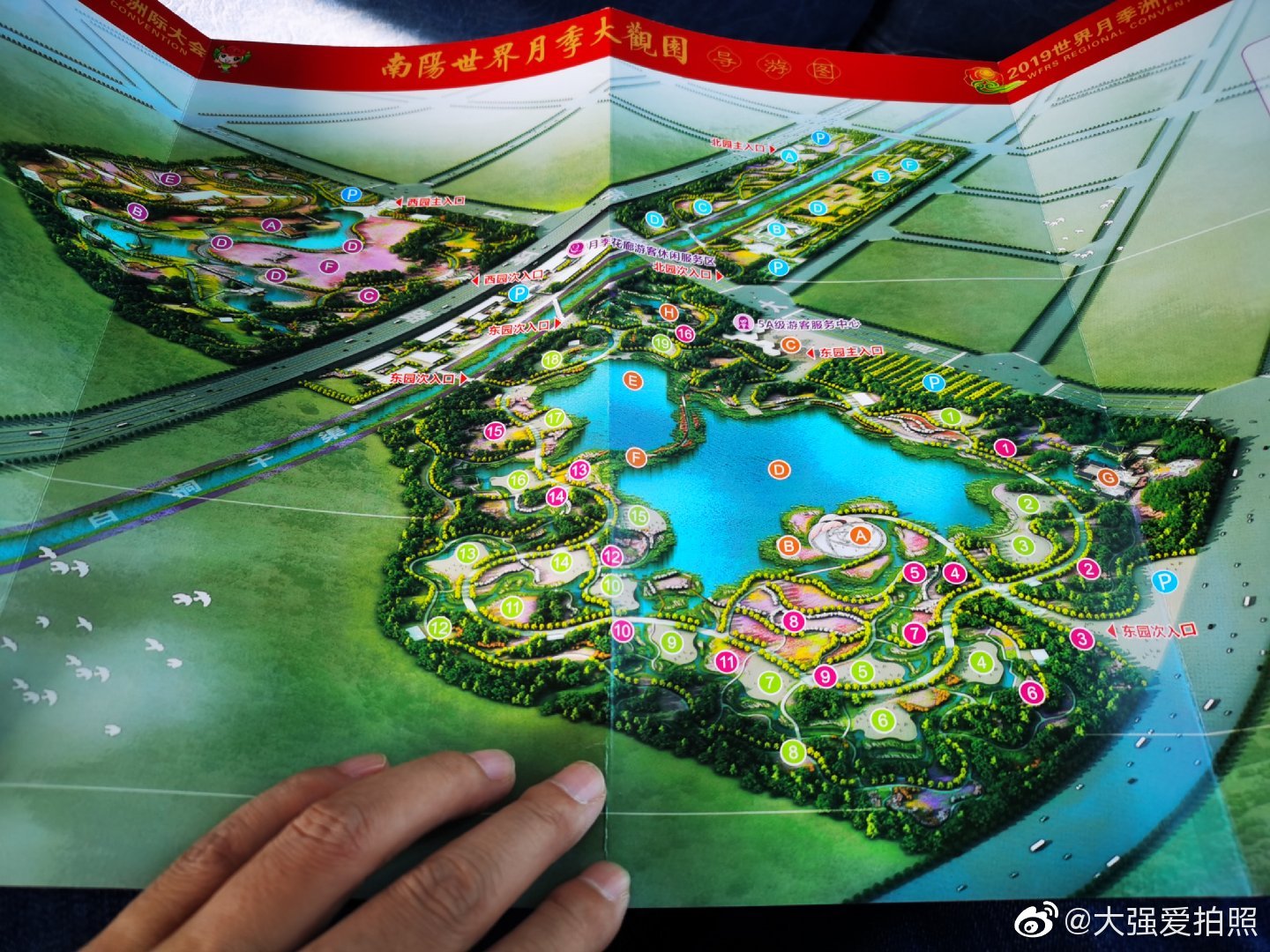 南阳有个世界月季大观园,是2019月季大会的主会场.