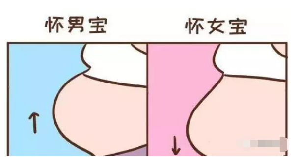 "上怀"是指,孕妈的孕肚,比较考上,而"下怀"则是指,孕妈孕肚比较靠下