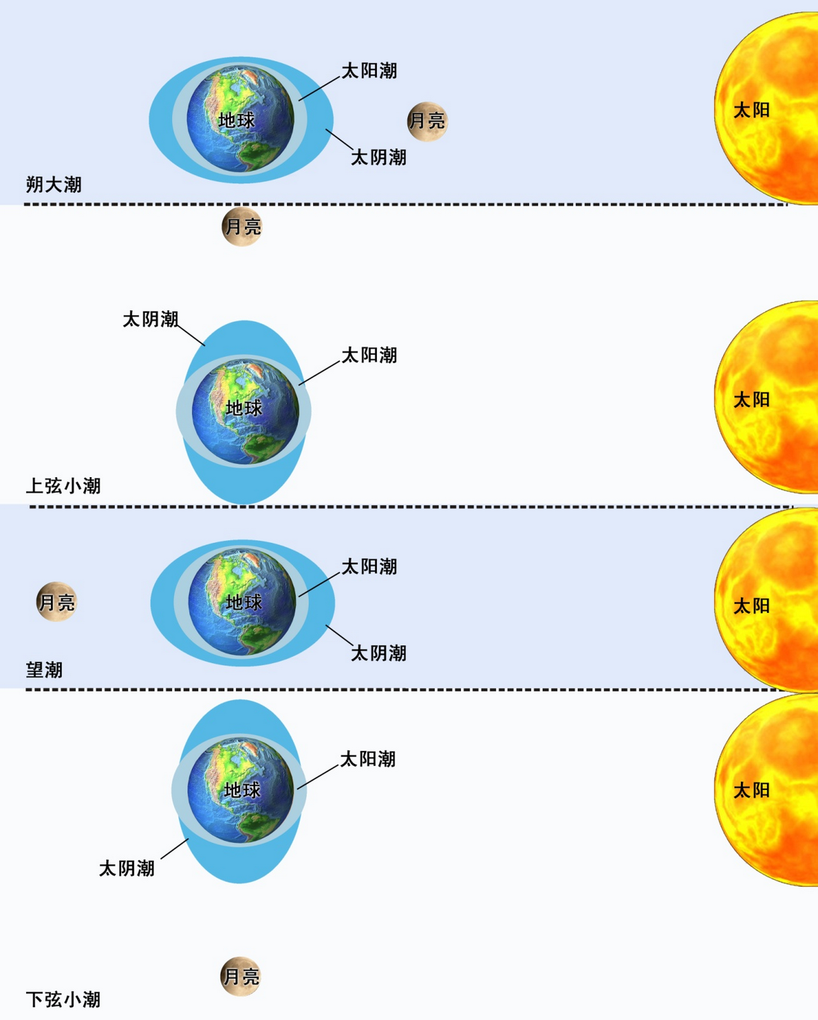 为什么海洋潮汐是由月球引力而不是太阳引力引