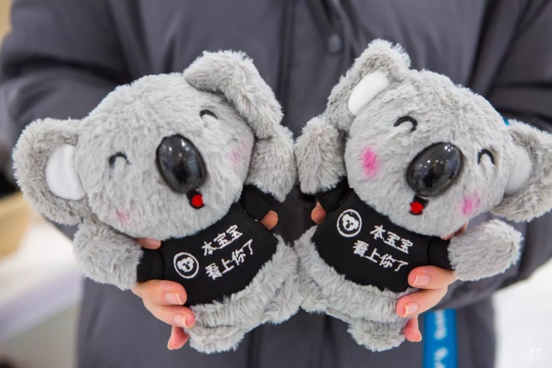 杭州西湖喜提网易考拉首家旗舰店!
