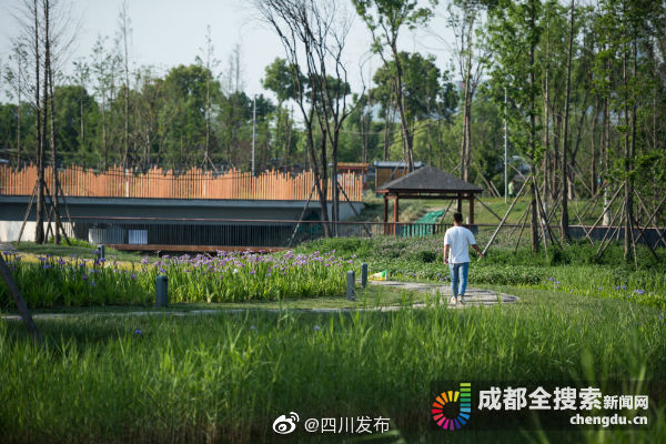 中和湿地公园属于锦城绿道中和湿地段,锦城绿道环成都绕城而建,犹如一